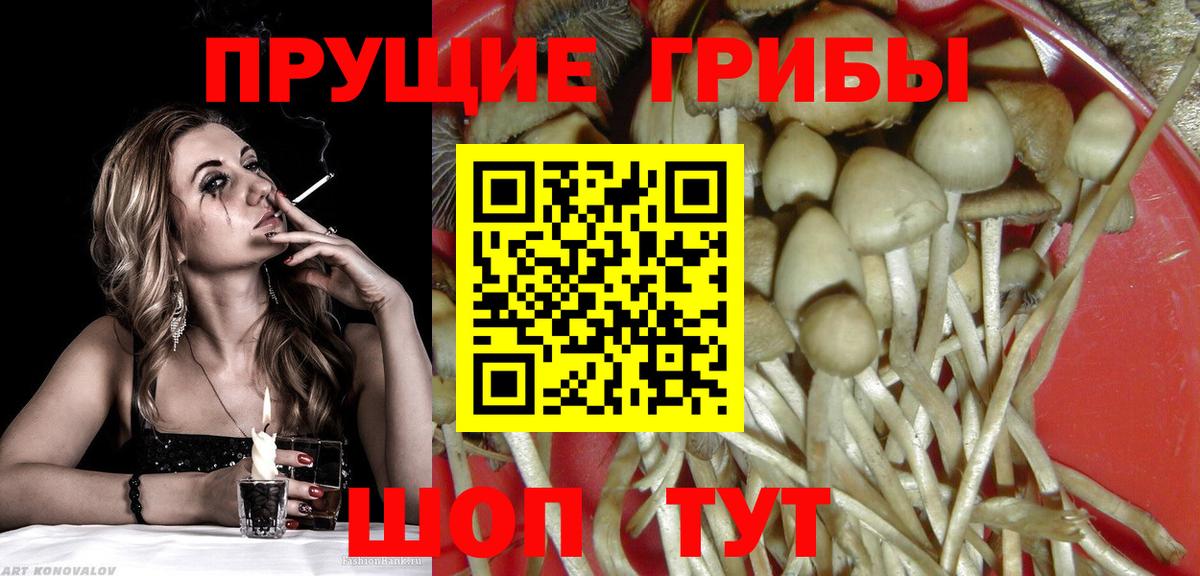 Галлюциногенные грибы мухоморы Кубинка
