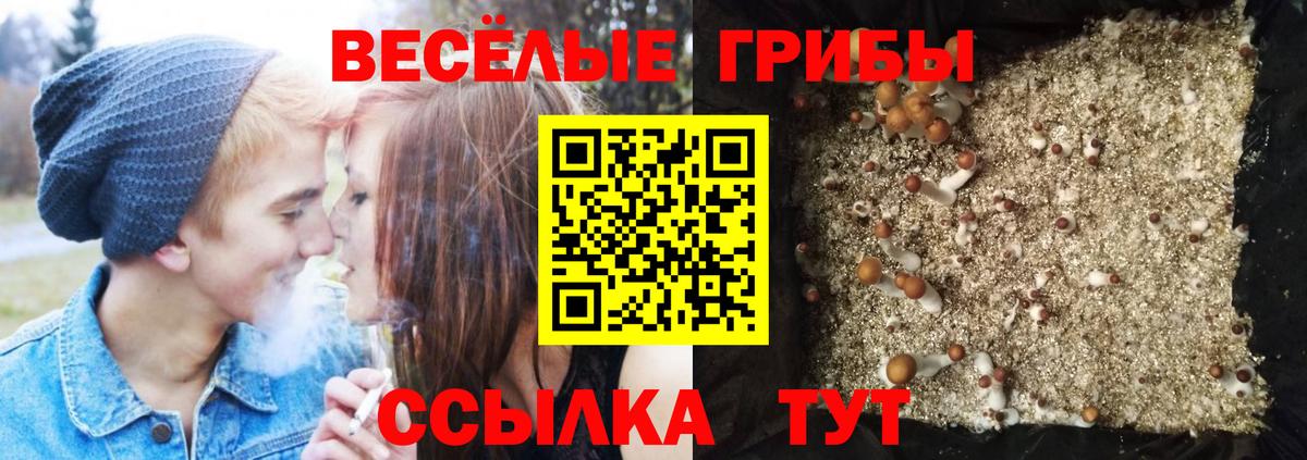 Кубинка  Псилоцибиновые грибы ЛСД  Вход с VPN 